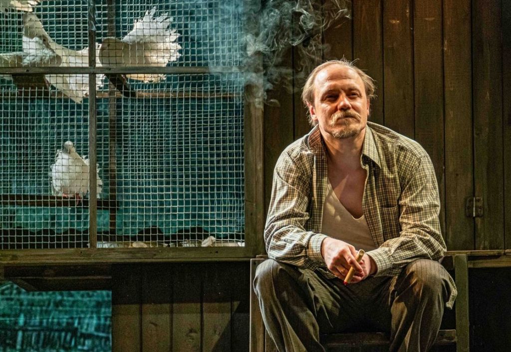 Любовь и голуби