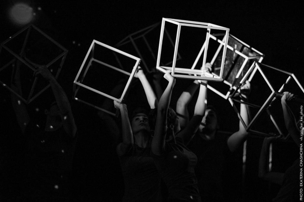 Загадочное ночное убийство собаки